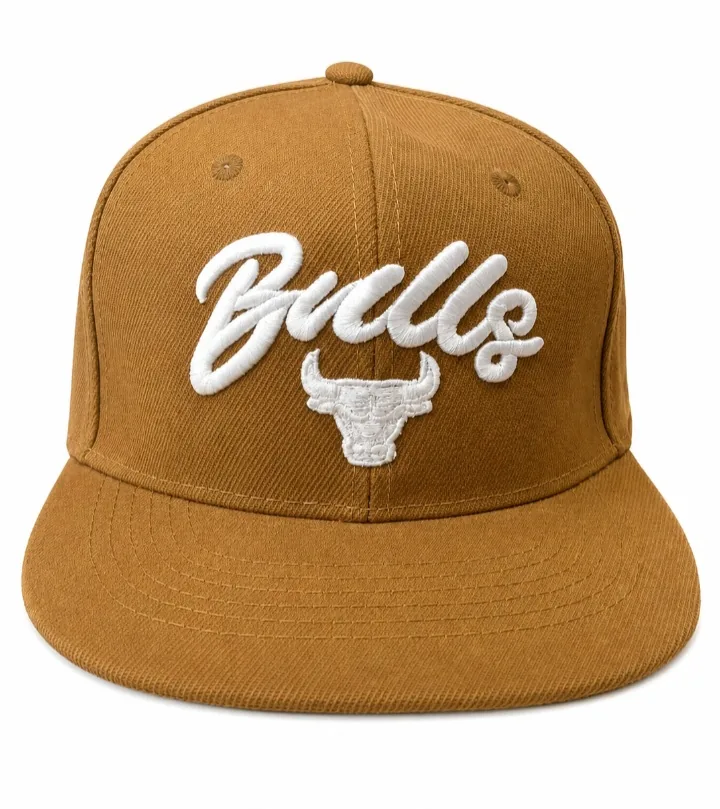 Bulls Snapback